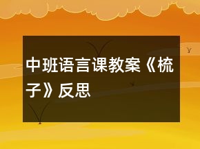 中班語言課教案《梳子》反思