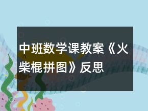 中班數(shù)學(xué)課教案《火柴棍拼圖》反思