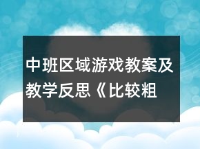 中班區(qū)域游戲教案及教學(xué)反思《比較粗和細》