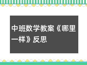 中班數(shù)學(xué)教案《哪里一樣》反思