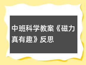 中班科學(xué)教案《磁力真有趣》反思
