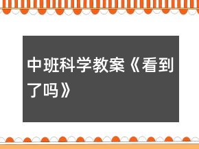 中班科學(xué)教案《看到了嗎》