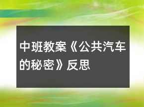 中班教案《公共汽車的秘密》反思