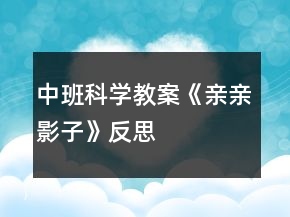 中班科學(xué)教案《親親影子》反思