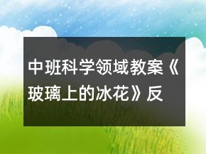 中班科學領(lǐng)域教案《玻璃上的冰花》反思