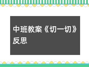 中班教案《切一切》反思