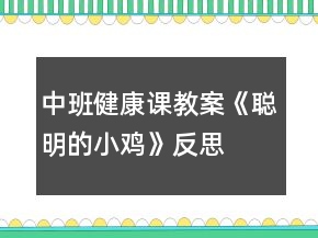 中班健康課教案《聰明的小雞》反思