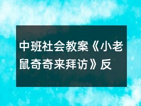 中班社會(huì)教案《小老鼠奇奇來(lái)拜訪》反思