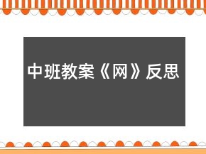 中班教案《網(wǎng)》反思