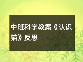 中班科學(xué)教案《認(rèn)識(shí)貓》反思