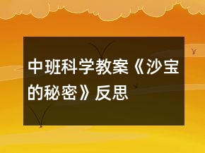 中班科學教案《沙寶的秘密》反思