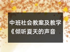 中班社會教案及教學《傾聽夏天的聲音》反思