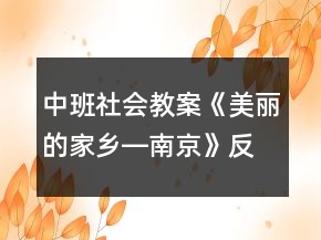 中班社會教案《美麗的家鄉(xiāng)―南京》反思