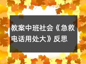 教案中班社會《急救電話用處大》反思