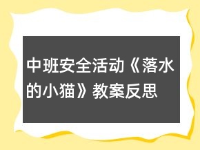 中班安全活動《落水的小貓》教案反思