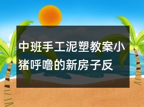 中班手工泥塑教案：小豬呼嚕的新房子反思