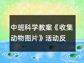 中班科學(xué)教案《收集動(dòng)物圖片》活動(dòng)反思