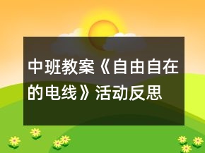中班教案《自由自在的電線》活動反思