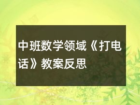 中班數(shù)學(xué)領(lǐng)域《打電話》教案反思