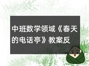 中班數(shù)學領域《春天的電話亭》教案反思