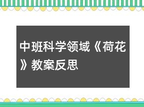 中班科學(xué)領(lǐng)域《荷花》教案反思