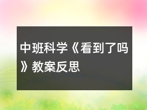 中班科學《看到了嗎》教案反思