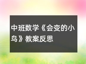 中班數(shù)學(xué)《會(huì)變的小鳥(niǎo)》教案反思