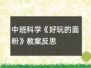 中班科學《好玩的面粉》教案反思