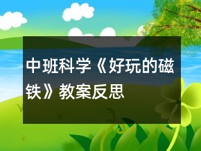 中班科學(xué)《好玩的磁鐵》教案反思