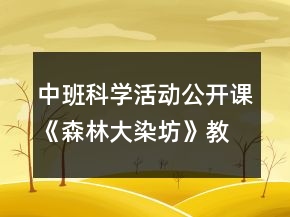 中班科學(xué)活動公開課《森林大染坊》教案及教學(xué)反思