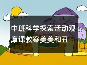 中班科學(xué)探索活動(dòng)觀摩課教案：美美和丑丑反思