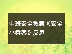 中班安全教案《安全小乘客》反思