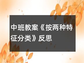 中班教案《按兩種特征分類(lèi)》反思