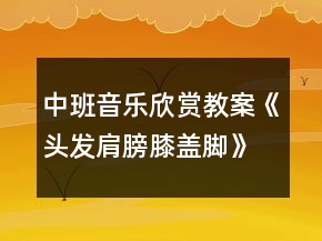 中班音樂欣賞教案《頭發(fā)肩膀膝蓋腳》反思