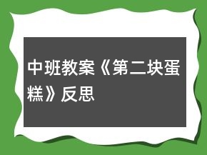 中班教案《第二塊蛋糕》反思