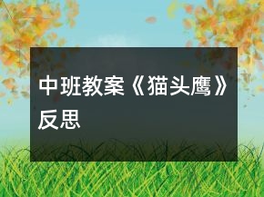 中班教案《貓頭鷹》反思
