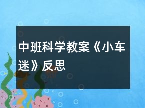 中班科學(xué)教案《小車迷》反思