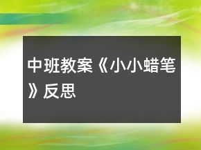 中班教案《小小蠟筆》反思