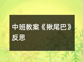 中班教案《揪尾巴》反思