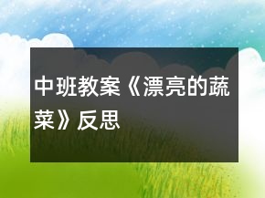 中班教案《漂亮的蔬菜》反思