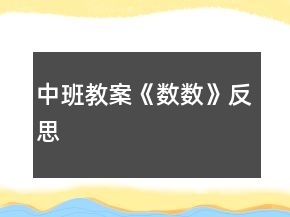 中班教案《數(shù)數(shù)》反思