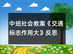 中班社會教案《交通標志作用大》反思