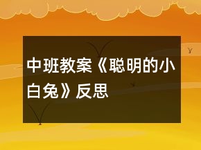 中班教案《聰明的小白兔》反思