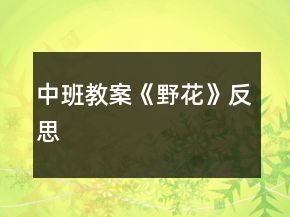 中班教案《野花》反思