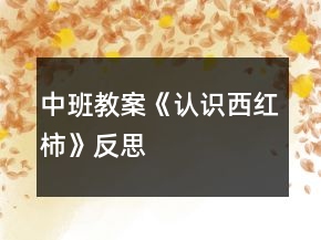 中班教案《認識西紅柿》反思