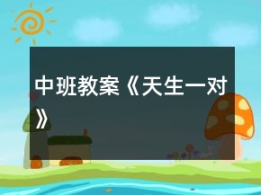 中班教案《天生一對》