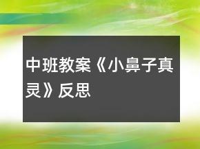 中班教案《小鼻子真靈》反思