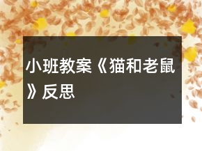 小班教案《貓和老鼠》反思