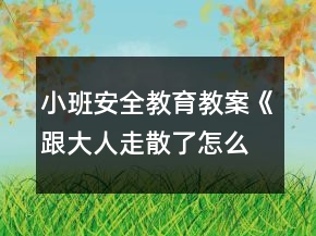 小班安全教育教案《跟大人走散了怎么辦》反思