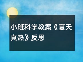 小班科學(xué)教案《夏天真熱》反思
